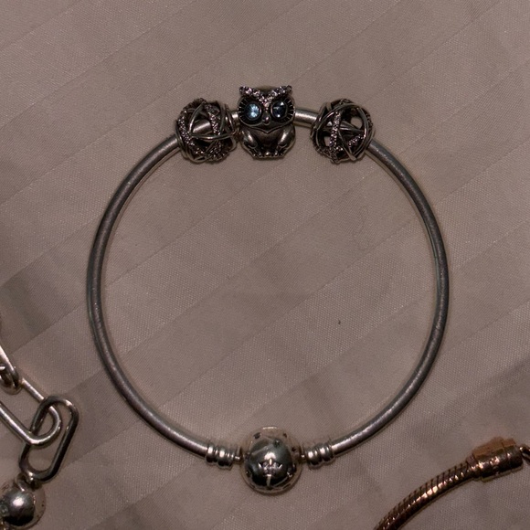 Hi guys! I’m selling my pandora bracelets and charms as I no longer wear them. - Picture 3 of 5